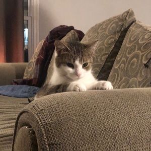 Meet your Posher, Christina